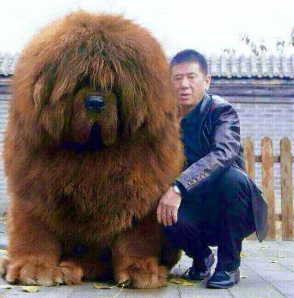 morning picdump 51 pics 20.html - 51 HD Photos | Premium Gallery 2018