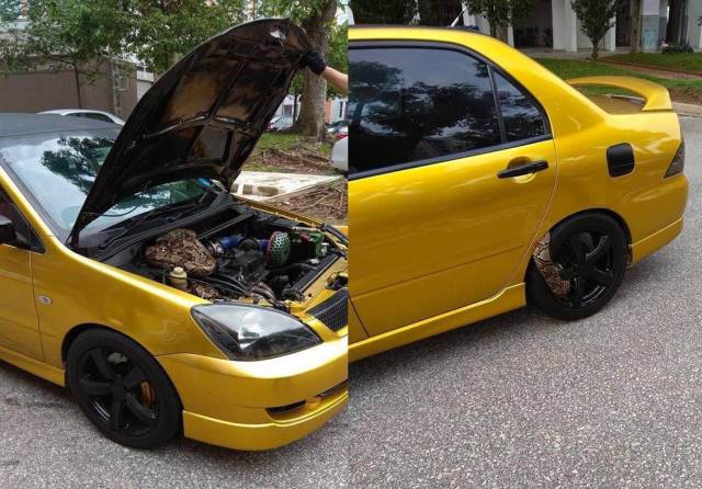 morning picdump 51 pics 20.html - 51 HD Photos | Premium Gallery 2018