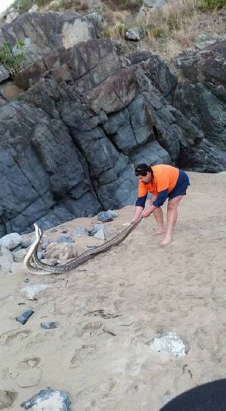 Australia: Where Very Good Comes With Very Bad