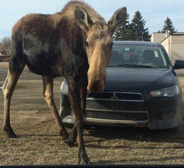 daily picdump 93 pics 37.html - 93 HD Photos | Premium Gallery 2018