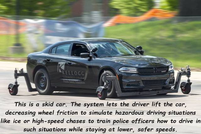 daily picdump 93 pics 37.html - 93 HD Photos | Premium Gallery 2018