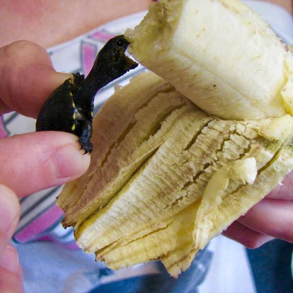 daily picdump 93 pics 37.html - 93 HD Photos | Premium Gallery 2018