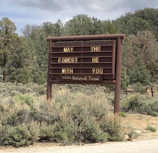 daily picdump 93 pics 37.html - 93 HD Photos | Premium Gallery 2018