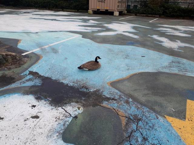 daily picdump 93 pics 37.html - 93 HD Photos | Premium Gallery 2018