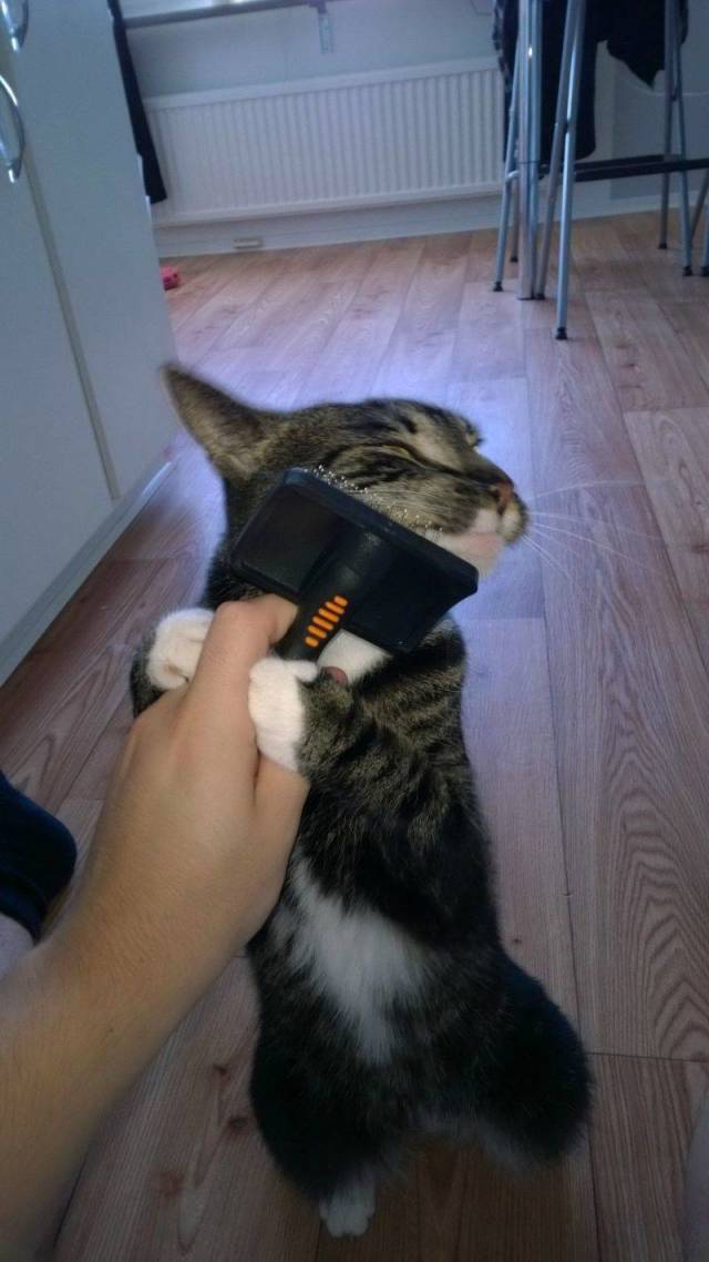 daily picdump 93 pics 37.html - 93 HD Photos | Premium Gallery 2018