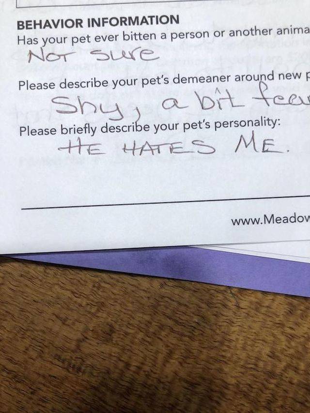 daily picdump 93 pics 37.html - 93 HD Photos | Premium Gallery 2018