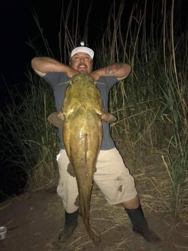 daily picdump 93 pics 37.html - 93 HD Photos | Premium Gallery 2018