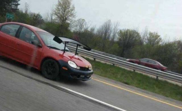 daily picdump 99 pics 36.html - 99 HD Photos | Premium Gallery 2018