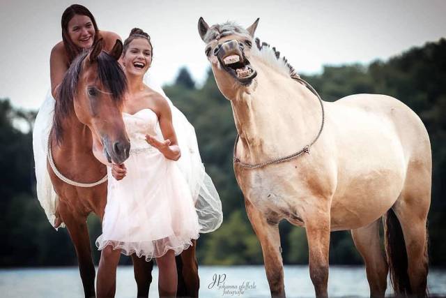 daily picdump 99 pics 36.html - 99 HD Photos | Premium Gallery 2018