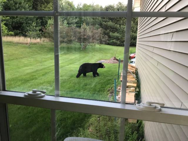 daily picdump 99 pics 36.html - 99 HD Photos | Premium Gallery 2018