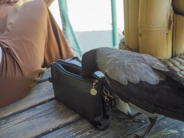 daily picdump 99 pics 36.html - 99 HD Photos | Premium Gallery 2018