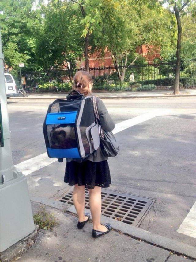 daily picdump 99 pics 36.html - 99 HD Photos | Premium Gallery 2018