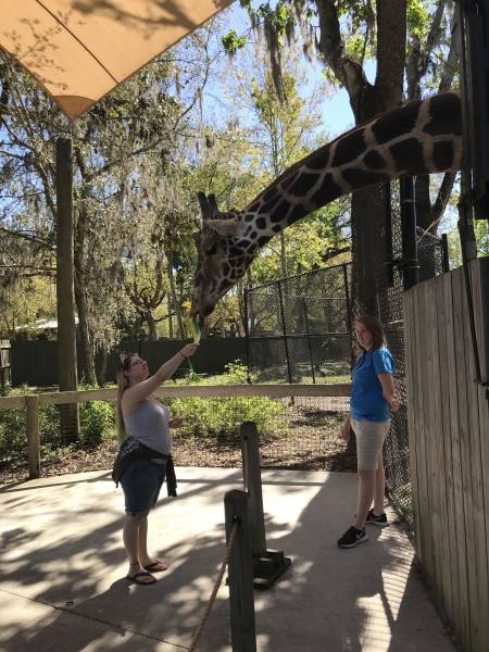 morning picdump 54 pics 17.html - 54 HD Photos | Premium Gallery 2018