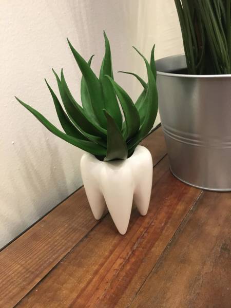 morning picdump 54 pics 17.html - 54 HD Photos | Premium Gallery 2018