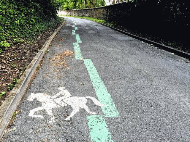 morning picdump 54 pics 17.html - 54 HD Photos | Premium Gallery 2018