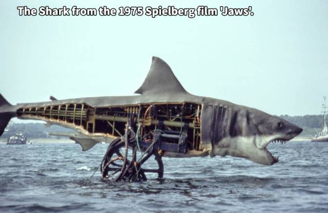 morning picdump 54 pics 17.html - 54 HD Photos | Premium Gallery 2018