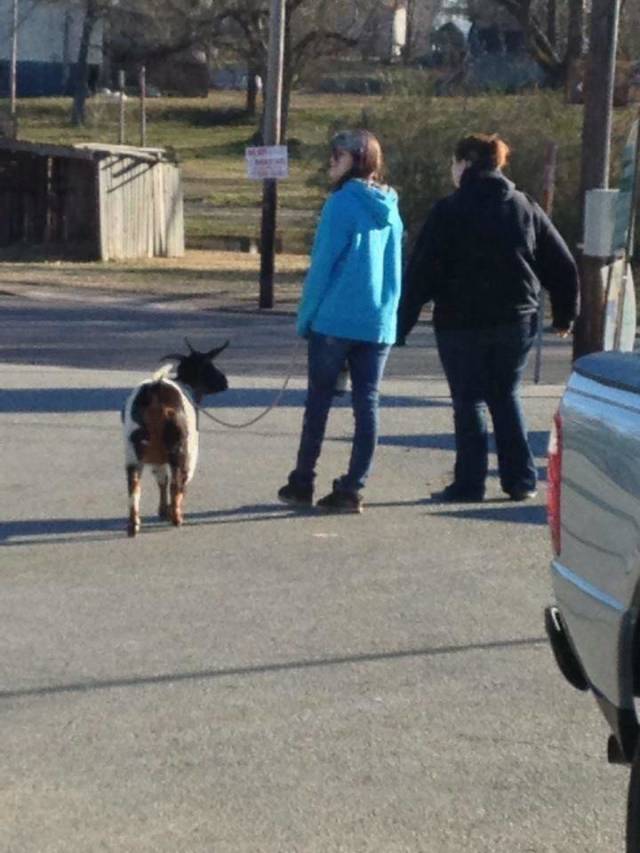 morning picdump 54 pics 17.html - 54 HD Photos | Premium Gallery 2018