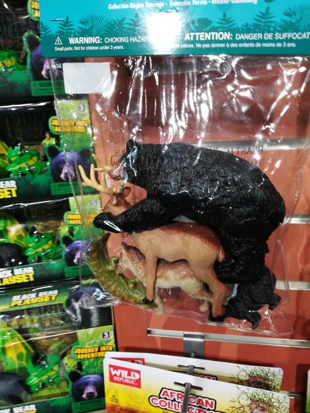 morning picdump 54 pics 17.html - 54 HD Photos | Premium Gallery 2018