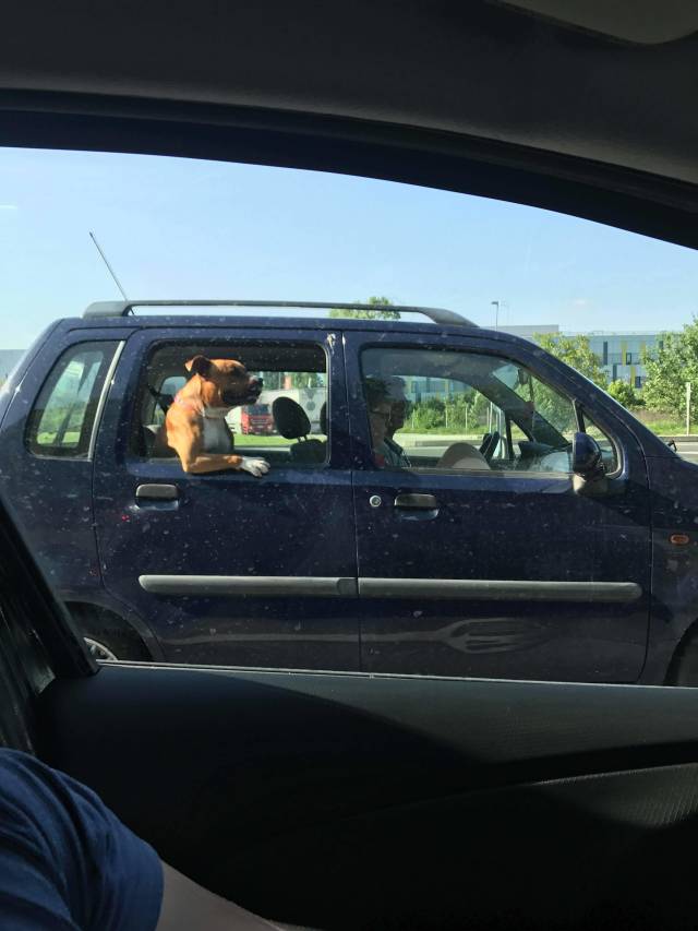 morning picdump 54 pics 17.html - 54 HD Photos | Premium Gallery 2018