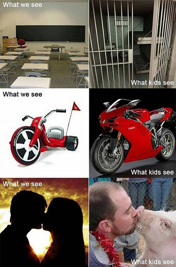 Adult Life Is Nothing Like Kid