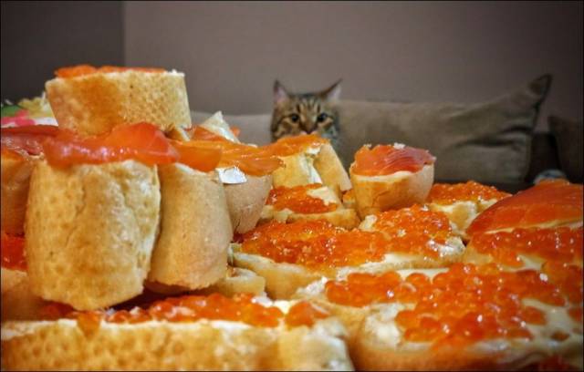 daily picdump 97 pics 15.html - 97 HD Photos | Premium Gallery 2018