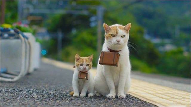 daily picdump 97 pics 15.html - 97 HD Photos | Premium Gallery 2018