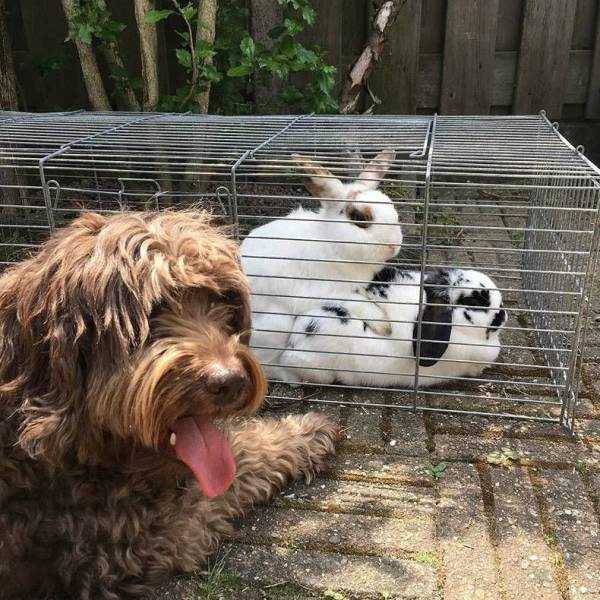 daily picdump 97 pics 15.html - 97 HD Photos | Premium Gallery 2018