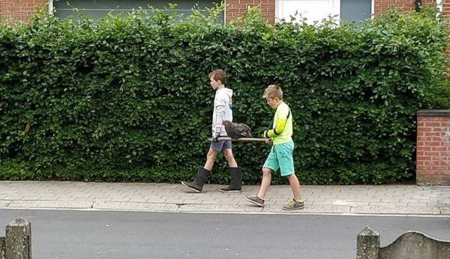 daily picdump 97 pics 15.html - 97 HD Photos | Premium Gallery 2018