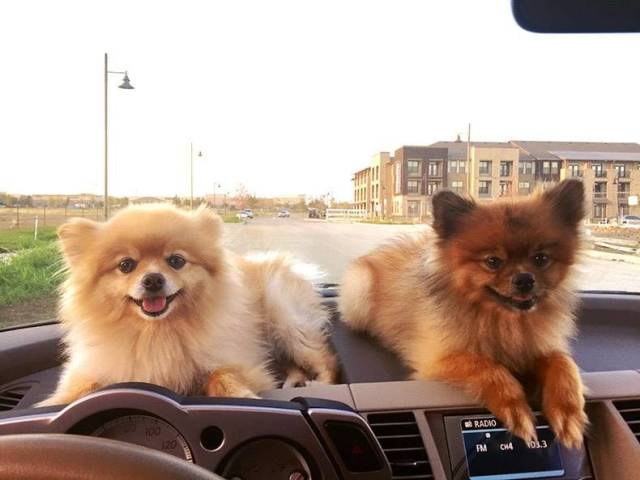 daily picdump 97 pics 15.html - 97 HD Photos | Premium Gallery 2018