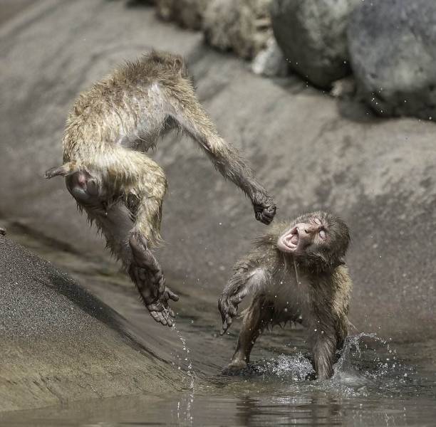 daily picdump 97 pics 15.html - 97 HD Photos | Premium Gallery 2018