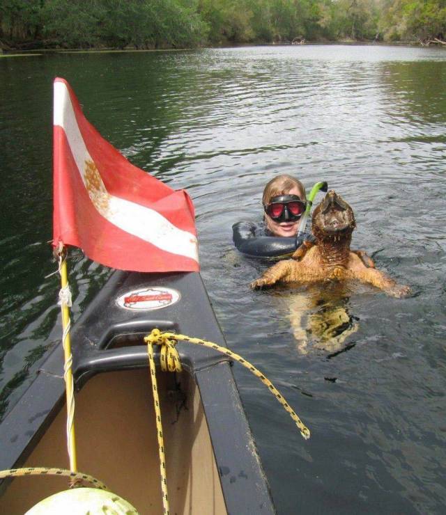 daily picdump 97 pics 15.html - 97 HD Photos | Premium Gallery 2018