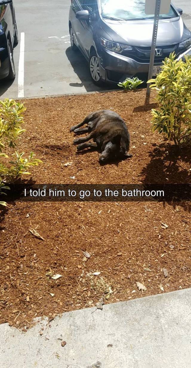 daily picdump 97 pics 15.html - 97 HD Photos | Premium Gallery 2018