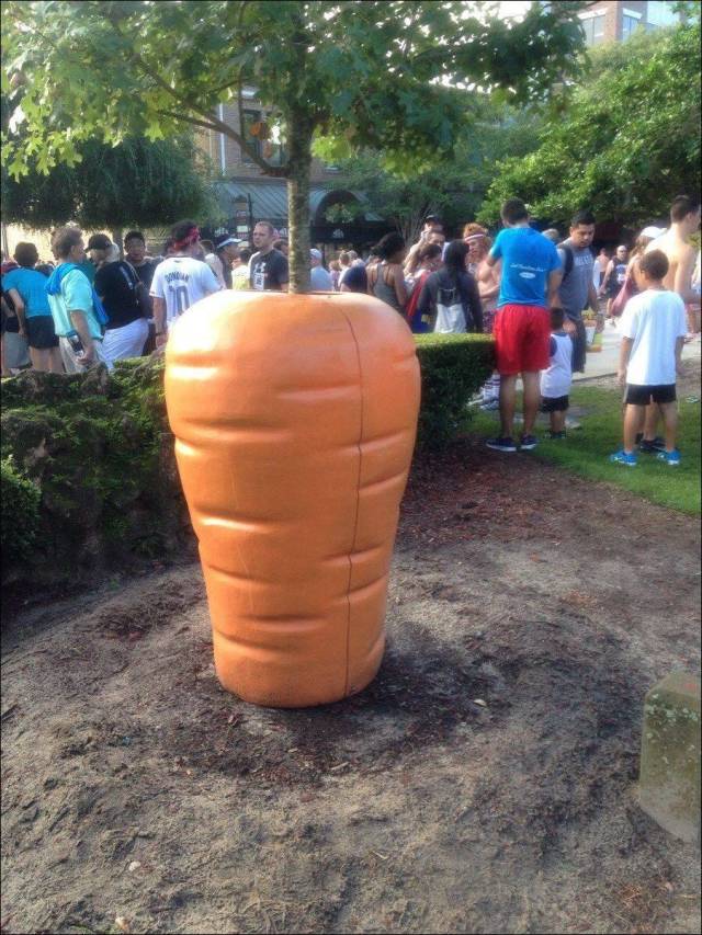 daily picdump 97 pics 15.html - 97 HD Photos | Premium Gallery 2018