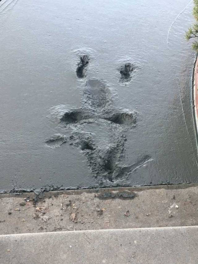 daily picdump 97 pics 15.html - 97 HD Photos | Premium Gallery 2018