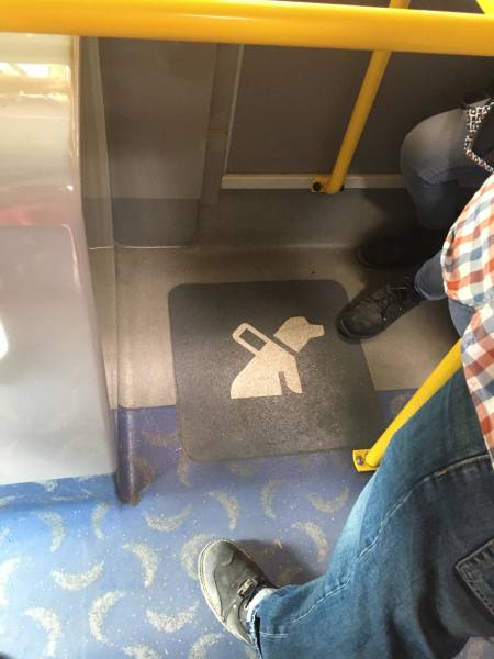 morning picdump 50 pics 37.html - 50 HD Photos | Premium Gallery 2018