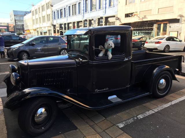 morning picdump 50 pics 37.html - 50 HD Photos | Premium Gallery 2018