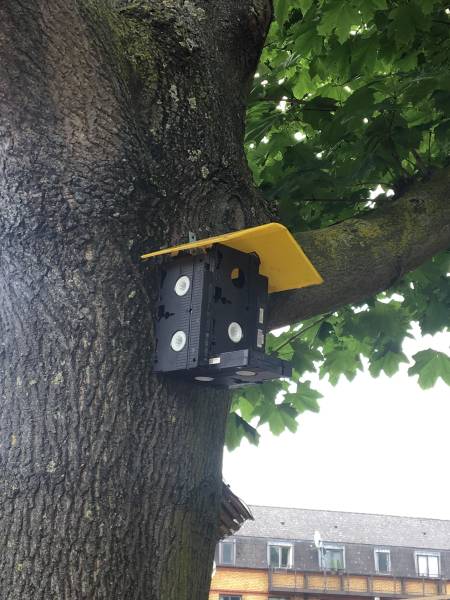 Daily Picdump [WEEKEND EDITION]