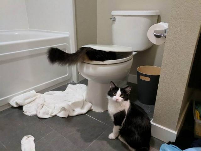 daily picdump 99 pics 49.html - 99 HD Photos | Premium Gallery 2018