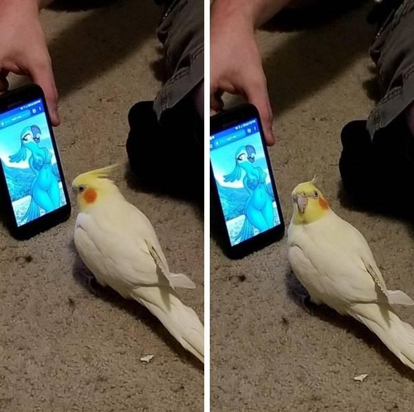 daily picdump 99 pics 49.html - 99 HD Photos | Premium Gallery 2018