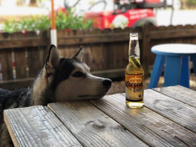 daily picdump 99 pics 49.html - 99 HD Photos | Premium Gallery 2018