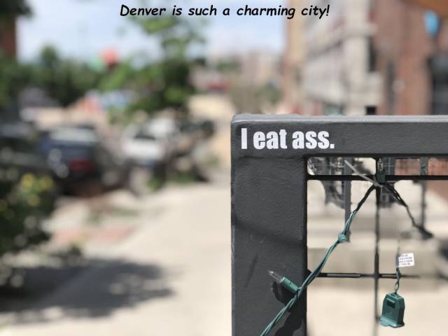 daily picdump 99 pics 49.html - 99 HD Photos | Premium Gallery 2018