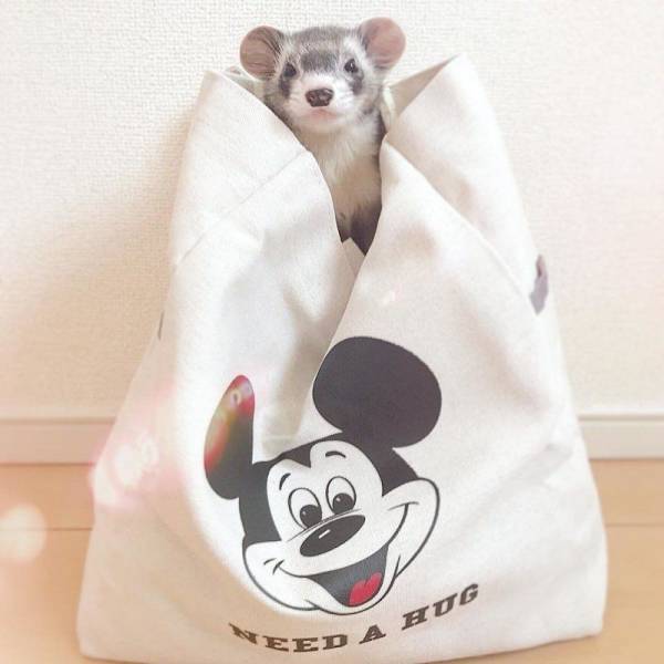 daily picdump 99 pics 49.html - 99 HD Photos | Premium Gallery 2018