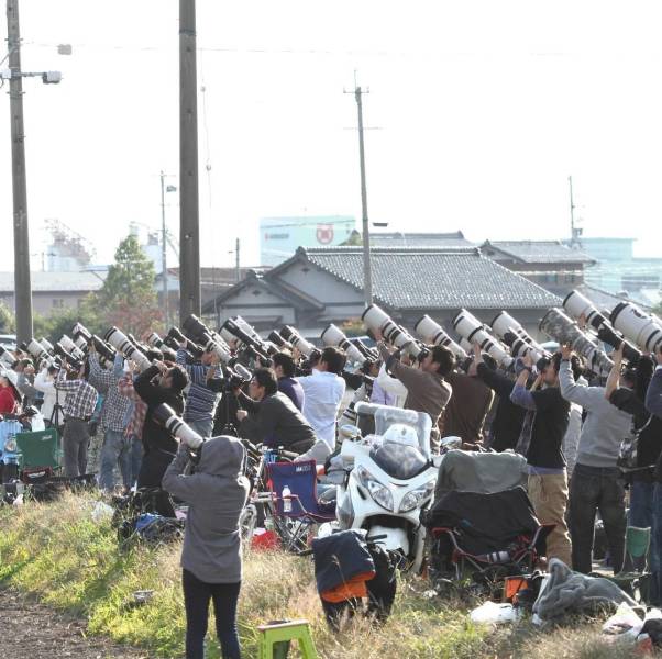 daily picdump 99 pics 49.html - 99 HD Photos | Premium Gallery 2018