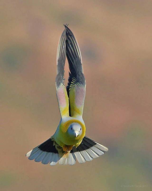 daily picdump 99 pics 49.html - 99 HD Photos | Premium Gallery 2018