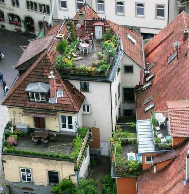 daily picdump 99 pics 49.html - 99 HD Photos | Premium Gallery 2018