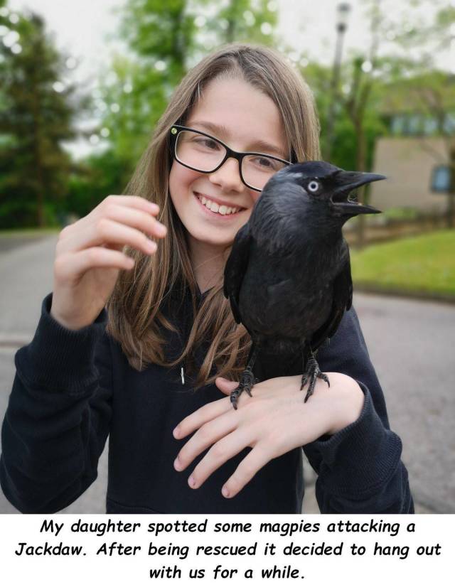 daily picdump 99 pics 49.html - 99 HD Photos | Premium Gallery 2018