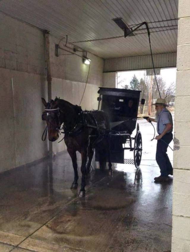 daily picdump 99 pics 49.html - 99 HD Photos | Premium Gallery 2018