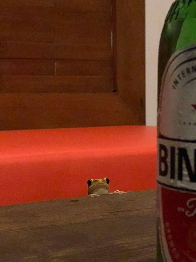 daily picdump 99 pics 49.html - 99 HD Photos | Premium Gallery 2018