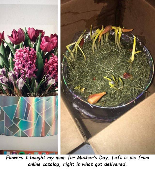 Sh*t Is All Around Us – It Happens