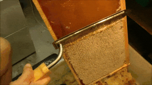 Watching Sharp Knives Cutting Stuff Is Incredibly Satisfying!